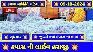 ગોંડલ કપાસ ના બજાર ભાવ  9 October 2024  Gondal Kapas Na Bajar Bhav  Gondal Marketing Yard [upl. by Eicats222]