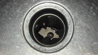 Troubleshooting Garbage Disposals [upl. by Feldman]