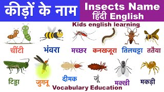 Insects Name in Hindi and English with Pictures  कीड़े मकोड़ों के नाम  Insects names [upl. by Elmo]