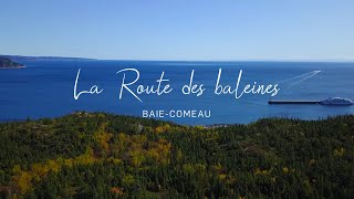 Route des baleines  Baie Comeau [upl. by Ormond]