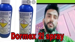 Dormex ki spray dormex njarapahadoca2353 [upl. by Hallie571]