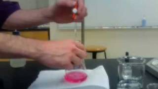 Methyl Red Titration [upl. by Eenel770]