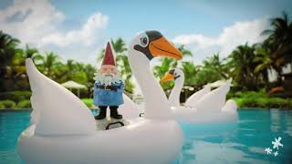 Travelocity Swan 15 video [upl. by Notseh694]