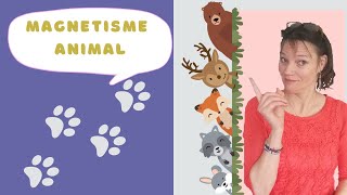 Magnétisme animal 🐶🦊🐱🐮🐷🐭🐔🐴 [upl. by Giliana]