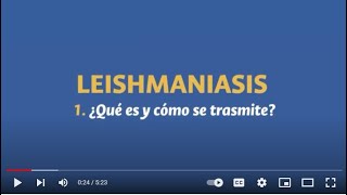 Leishmaniasis [upl. by Ahsenrat]