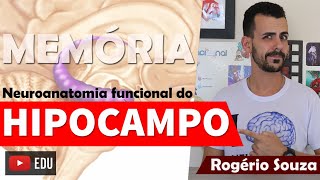 HIPOCAMPO E ÁREAS DE MEMÓRIA Neuroanatomia Funcional Vídeo Aula  Rogério Souza [upl. by Nivrae]