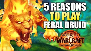 Top 5 Reasons To Play Feral Druid In WoW The War Within [upl. by Rozalin375]