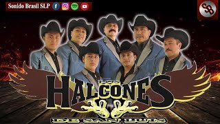 Mix Halcones De San Luis🎶  Los Mejores Exitos Sonido Brasil🎶🎧 [upl. by Emalee]