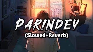 Parindey SlowedReverb Full HD Video SongB PraakChill Vibes Lofi [upl. by Prentice]