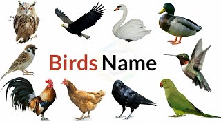 Birds Name 20 birds name birds name with spelling pictures [upl. by Gennifer]