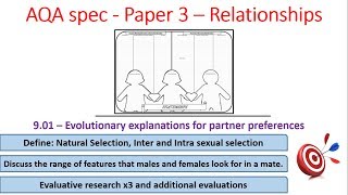 901 Evolutionary explanations for partner preferences  for AQA spec Alevel Psychology paper 3 [upl. by Gloria]