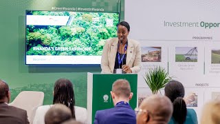 Rwanda Green Taxonomy Working Paper Showcase at COP28 [upl. by Roseline]