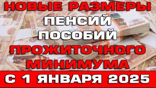 Новые размеры ПМа пенсий и пособий с 1 января 2025 Новости [upl. by Seitz]