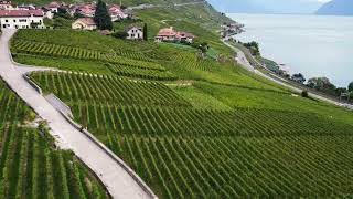 Lavaux Switzerland [upl. by Atwater598]