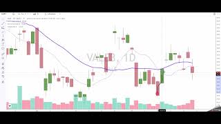 Estudo do Ibovespa Vale3 Cmin3 Petr4 Bbdc4 Raiz4 Usim5 e de Ntco3 [upl. by Liw260]