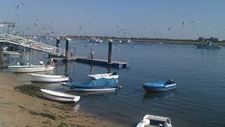 Punta Umbría y El Portil tierras marineras Huelva [upl. by Nanci]