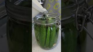 Pickled cucumber 수제 오이피클🥒 homecook pickles 집밥 간단레시피 [upl. by Belter526]