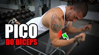 O TREINO PERFEITO DE BICEPS E OMBRO [upl. by Surdna]