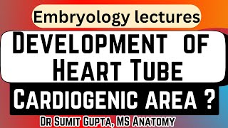 Development of Heart Tube  Cardiogenic area  Heart Embryology [upl. by Hayes]