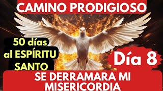 DIA 8🔥❤️🔥 CAMINO PRODIGIOSO 50 días al ESPÍRITU SANTO se DERRAMARÁ MI MISERICORDIA ❤️‍🔥🙏🔥 [upl. by Anibor235]