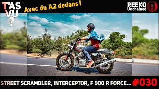 INTERCEPTOR 650 CONTINENTAL GT F 900 R FORCE STREET SCRAMBLER ⚠️TAS VU  🔴REEKO Unchained [upl. by Cannell773]