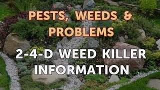 24D Weed Killer Information [upl. by Diane-Marie]