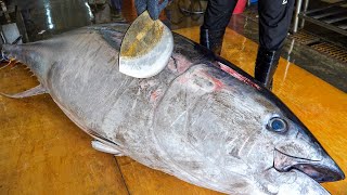 1 Million Giant Bluefin Tuna Catch  Havest Giant Bluefin tuna On Modern Boats [upl. by Boulanger]