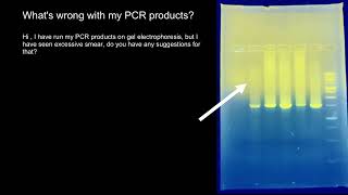 PCR and Gel Electrophoresis troubleshooting [upl. by Hewet]