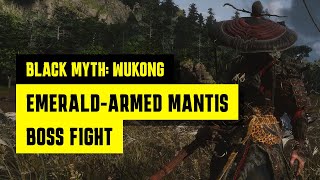 Black Myth Wukong  A NextGen Showcase of Combat amp Chaos  4K  60FPS [upl. by Ervine]