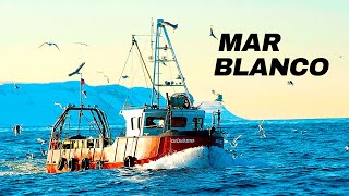 Altamar Blanco Los desafíos de pesca ante el cierre de la Temporada  Documental [upl. by Yrot376]