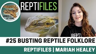 Busting Reptile Care Folklore  ReptiFiles  The Animals at Home Podcast [upl. by Enellij345]