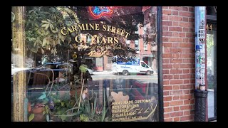 61 Greenwich Village in Summer  New York City 4K UHD VIDEO [upl. by Imot956]