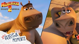 I Think MOTO MOTO Likes You 😉  Madagascar 2  Extended Preview  Mega Moments [upl. by Omidyar]