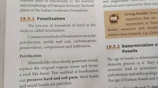 10th std Fossilization Pg no 280 Explanation in தமிழ்Part 10🙂 [upl. by Damalus493]