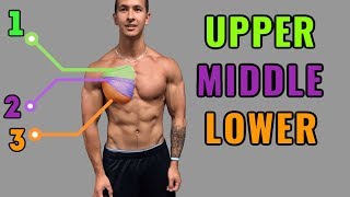 The Best ScienceBased Chest Workout for Mass amp Symmetry [upl. by Mohl]