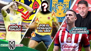 FIDALGO PODRÍA quedar FUERA💔TIGRES CON TODO x FICHAJE DEL AÑO💣HIERRO explota por ORMEÑO😡 [upl. by Claudius]