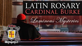 Pray the Rosary in Latin with Cardinal Burke Luminous Mysteries [upl. by Stanislaw]