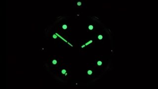 Breitling Superocean Steelfish A17390 Night Video Lume [upl. by Armitage]