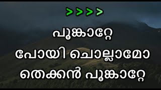 Poonkatte Poyi Chollamo  Karaoke With Lyrics [upl. by Mira]