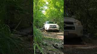 Hogsback trail Ontario Water crossings on stock vehicles Rav4 jeep f150 Nissan [upl. by Malan]