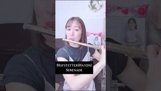 Hofstetter（Haydn）：Serenadeホフシュテッター（ハイドン）：セレナーデ [upl. by Adina]