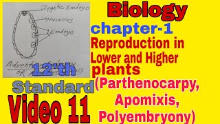 Apomixis  Parthenocarpy  Polyembryony  Chapter 1 Biology  HSC  class 12  video 11 [upl. by Nemad30]