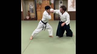 Aikido Joint technique and Flying armbar [upl. by Clemence442]