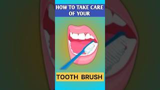 HOW TO TAKE CARE TOOTH BRUSH टूथब्रश कैसे ठीक रखे toothbrush toothpaste tooth dental shorts [upl. by Leunamme]