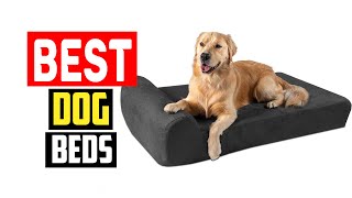 ✅Top 5 Best Dog Beds in 2024 [upl. by Berke906]