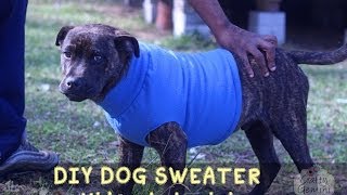 How to Make a Dog Sweater  DIY Tutorial [upl. by Garate]