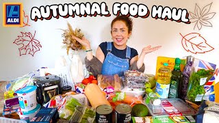 Autumnal Aldi Food Haul With Prices UK  Cosy Grocery Haul September 2024 [upl. by Wilt]