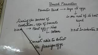 Brood Parasitism class 12 [upl. by Aletta664]