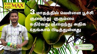 Tamil Coconut Online Farmer MrSalman giving feedback about our Cocomax result [upl. by Aztilay]