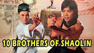 Wu Tang Collection  10 Brothers of Shaolin [upl. by Obeng509]